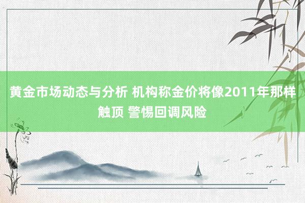 黄金市场动态与分析 机构称金价将像2011年那样触顶 警惕回调风险