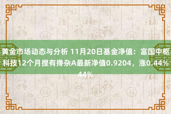 黄金市场动态与分析 11月20日基金净值：富国中枢科技12个月捏有搀杂A最新净值0.9204，涨0.44%