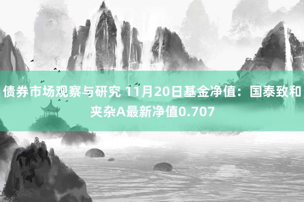 债券市场观察与研究 11月20日基金净值：国泰致和夹杂A最新净值0.707