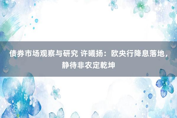 债券市场观察与研究 许曦扬：欧央行降息落地，静待非农定乾坤