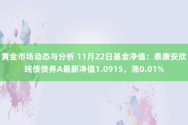 黄金市场动态与分析 11月22日基金净值：泰康安欣纯债债券A最新净值1.0915，涨0.01%