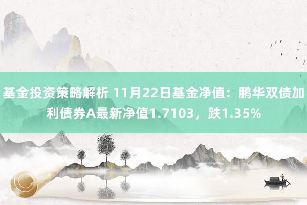 基金投资策略解析 11月22日基金净值：鹏华双债加利债券A最新净值1.7103，跌1.35%