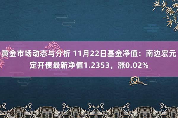 黄金市场动态与分析 11月22日基金净值：南边宏元定开债最新净值1.2353，涨0.02%