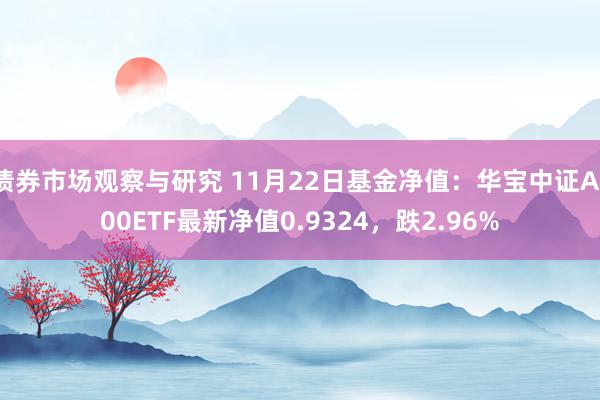 债券市场观察与研究 11月22日基金净值：华宝中证A100ETF最新净值0.9324，跌2.96%