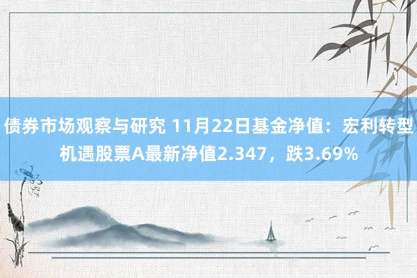 债券市场观察与研究 11月22日基金净值：宏利转型机遇股票A最新净值2.347，跌3.69%