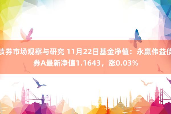 债券市场观察与研究 11月22日基金净值：永赢伟益债券A最新净值1.1643，涨0.03%