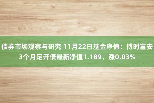 债券市场观察与研究 11月22日基金净值：博时富安3个月定开债最新净值1.189，涨0.03%