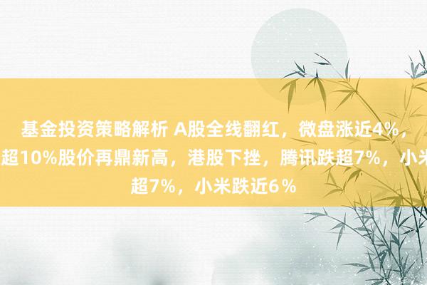 基金投资策略解析 A股全线翻红，微盘涨近4%，寒武纪涨超10%股价再鼎新高，港股下挫，腾讯跌超7%，小米跌近6％