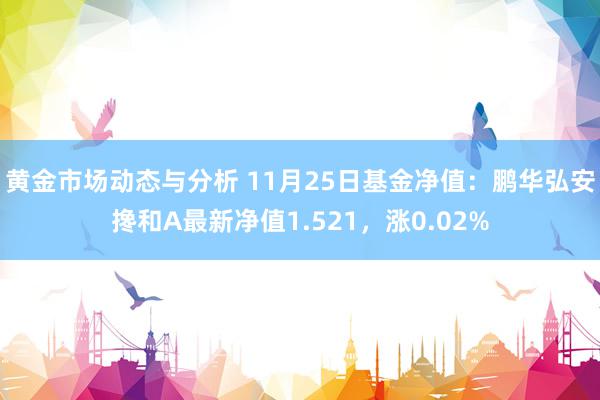 黄金市场动态与分析 11月25日基金净值：鹏华弘安搀和A最新净值1.521，涨0.02%